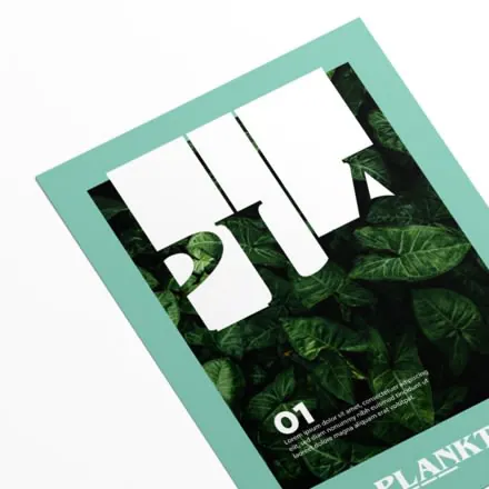 Couverture magazine design avec cadres blancs et feuillage vert sur fond turquoise